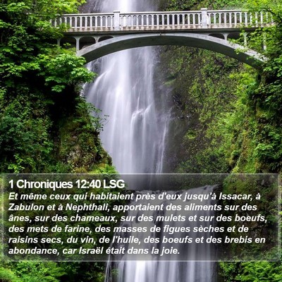 1 Chroniques 12:40 LSG Bible Verse Image