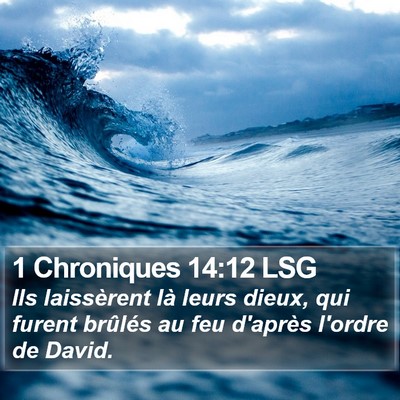 1 Chroniques 14:12 LSG Bible Verse Image