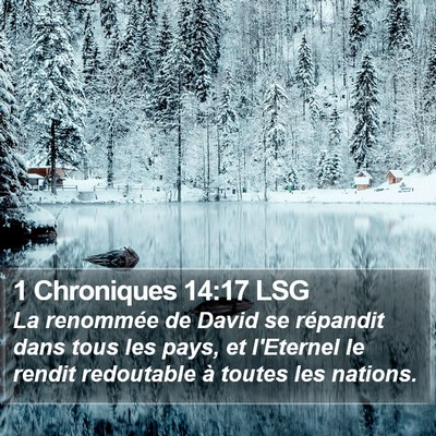 1 Chroniques 14:17 LSG Bible Verse Image