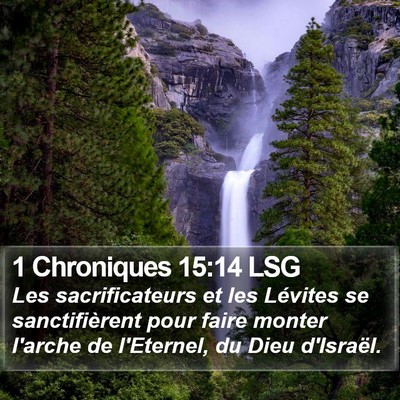 1 Chroniques 15:14 LSG Bible Verse Image