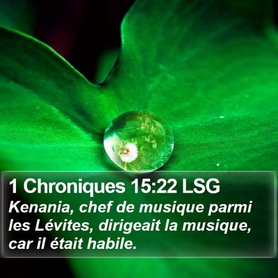 1 Chroniques 15:22 LSG Bible Verse Image