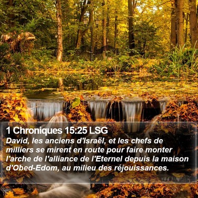 1 Chroniques 15:25 LSG Bible Verse Image