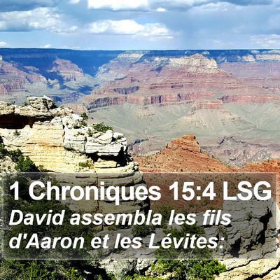 1 Chroniques 15:4 LSG Bible Verse Image