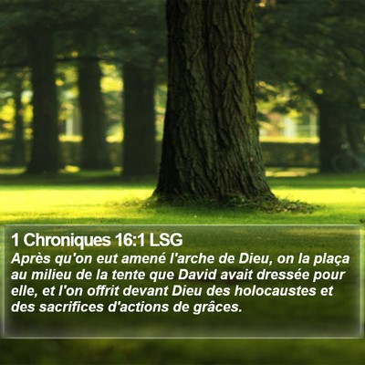 1 Chroniques 16:1 LSG Bible Verse Image