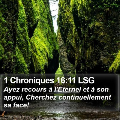 1 Chroniques 16:11 LSG Bible Verse Image
