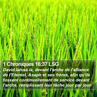 1 Chroniques 16:37 LSG Bible Verse Image
