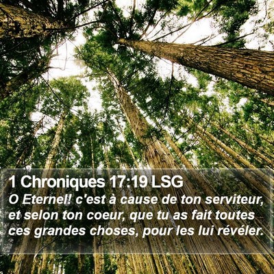 1 Chroniques 17:19 LSG Bible Verse Image