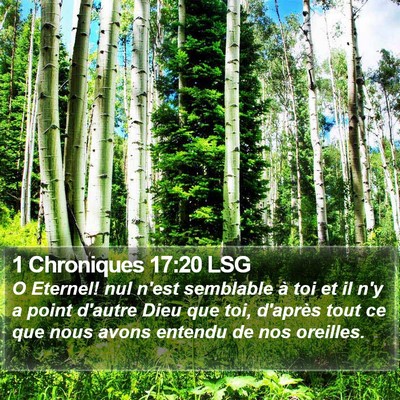 1 Chroniques 17:20 LSG Bible Verse Image