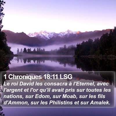1 Chroniques 18:11 LSG Bible Verse Image
