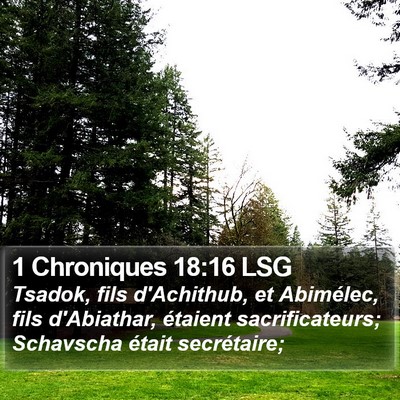 1 Chroniques 18:16 LSG Bible Verse Image