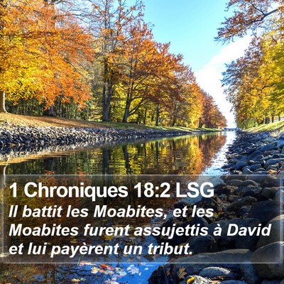 1 Chroniques 18:2 LSG Bible Verse Image