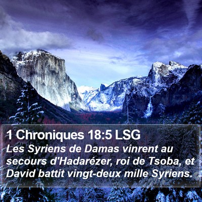1 Chroniques 18:5 LSG Bible Verse Image