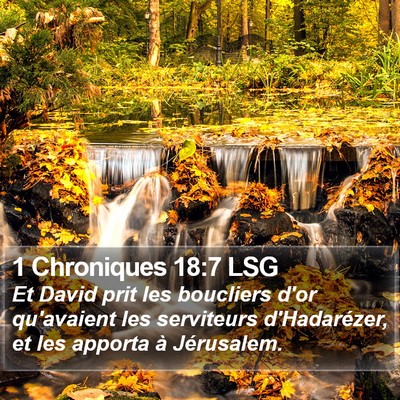 1 Chroniques 18:7 LSG Bible Verse Image