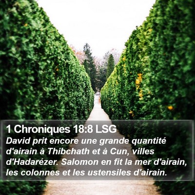 1 Chroniques 18:8 LSG Bible Verse Image