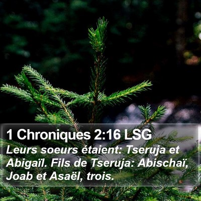 1 Chroniques 2:16 LSG Bible Verse Image