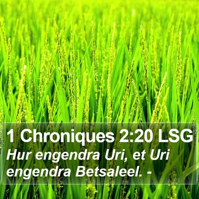 1 Chroniques 2:20 LSG Bible Verse Image