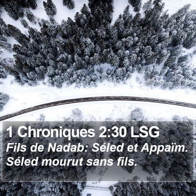 1 Chroniques 2:30 LSG Bible Verse Image