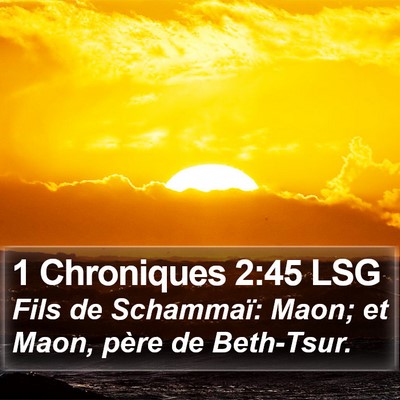 1 Chroniques 2:45 LSG Bible Verse Image