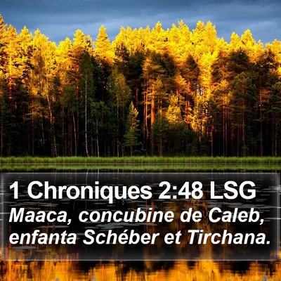 1 Chroniques 2:48 LSG Bible Verse Image