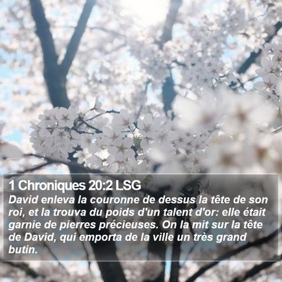 1 Chroniques 20:2 LSG Bible Verse Image