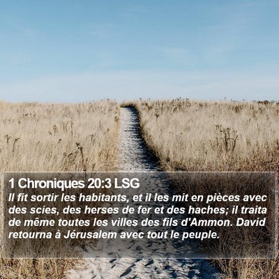 1 Chroniques 20:3 LSG Bible Verse Image