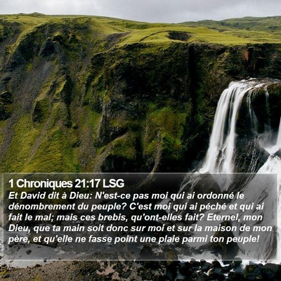 1 Chroniques 21:17 LSG Bible Verse Image