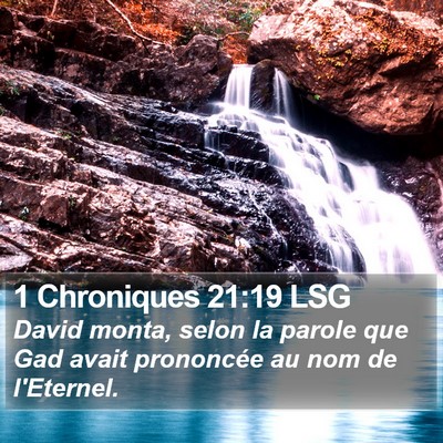 1 Chroniques 21:19 LSG Bible Verse Image