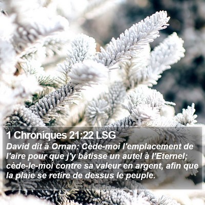 1 Chroniques 21:22 LSG Bible Verse Image