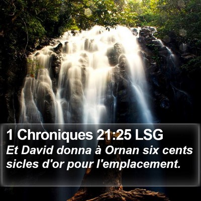 1 Chroniques 21:25 LSG Bible Verse Image