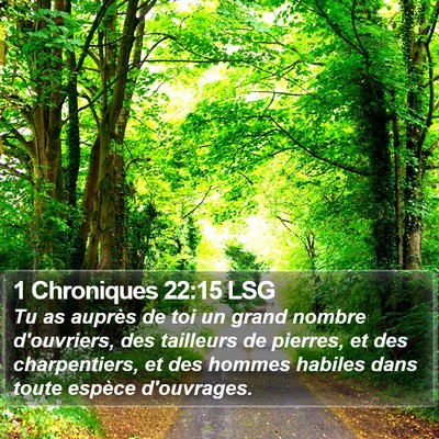 1 Chroniques 22:15 LSG Bible Verse Image