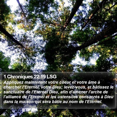 1 Chroniques 22:19 LSG Bible Verse Image