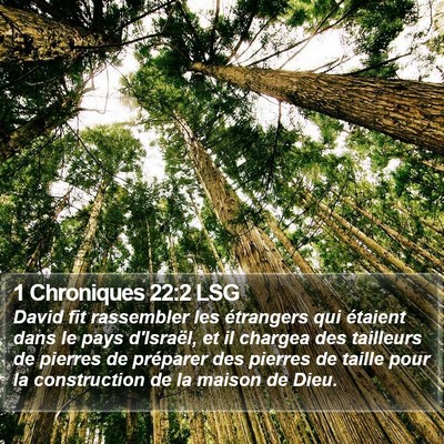 1 Chroniques 22:2 LSG Bible Verse Image