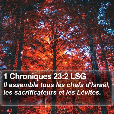 1 Chroniques 23:2 LSG Bible Verse Image