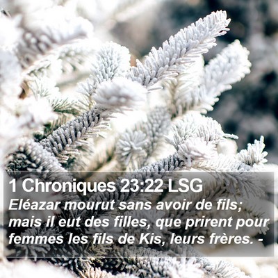 1 Chroniques 23:22 LSG Bible Verse Image