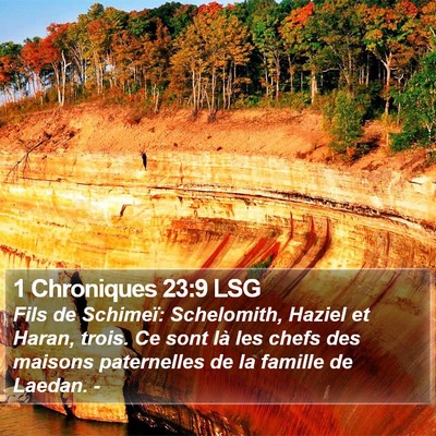 1 Chroniques 23:9 LSG Bible Verse Image