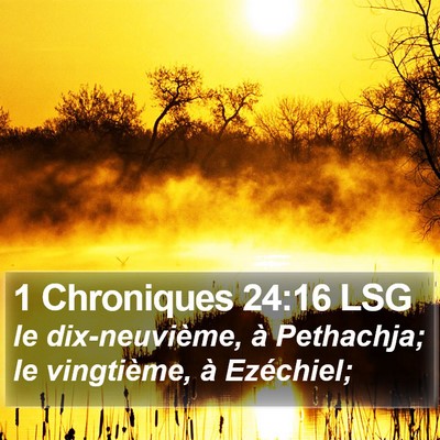 1 Chroniques 24:16 LSG Bible Verse Image