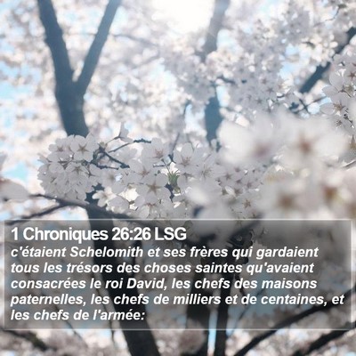 1 Chroniques 26:26 LSG Bible Verse Image