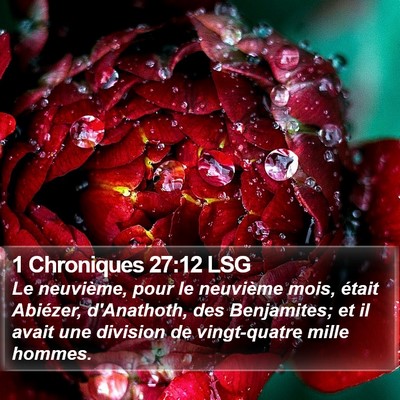 1 Chroniques 27:12 LSG Bible Verse Image