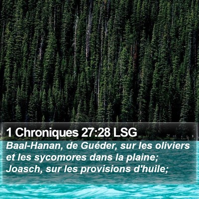 1 Chroniques 27:28 LSG Bible Verse Image