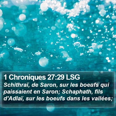 1 Chroniques 27:29 LSG Bible Verse Image