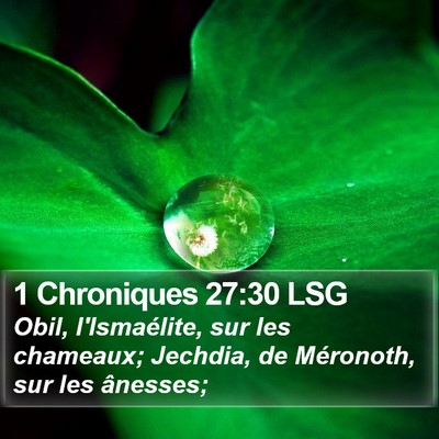 1 Chroniques 27:30 LSG Bible Verse Image