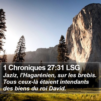 1 Chroniques 27:31 LSG Bible Verse Image