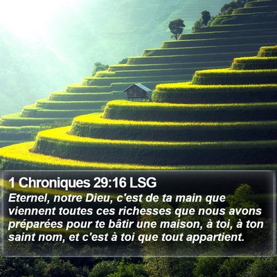 1 Chroniques 29:16 LSG Bible Verse Image