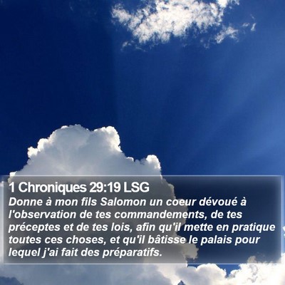 1 Chroniques 29:19 LSG Bible Verse Image