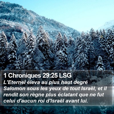 1 Chroniques 29:25 LSG Bible Verse Image
