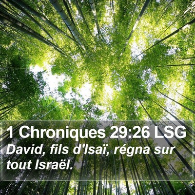 1 Chroniques 29:26 LSG Bible Verse Image