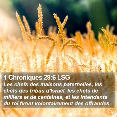 1 Chroniques 29:6 LSG Bible Verse Image