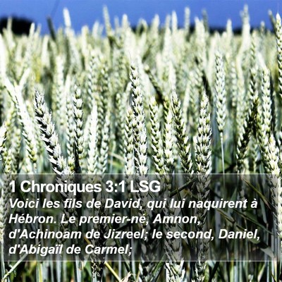 1 Chroniques 3:1 LSG Bible Verse Image