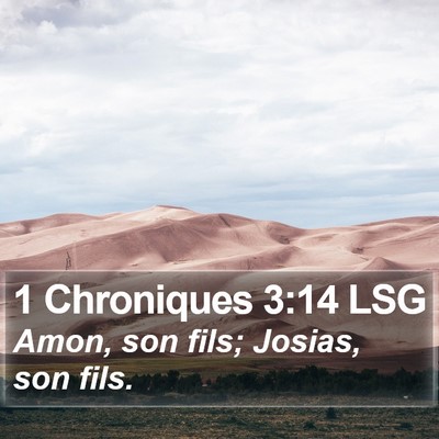 1 Chroniques 3:14 LSG Bible Verse Image