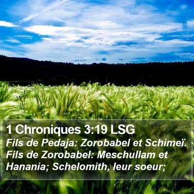 1 Chroniques 3:19 LSG Bible Verse Image